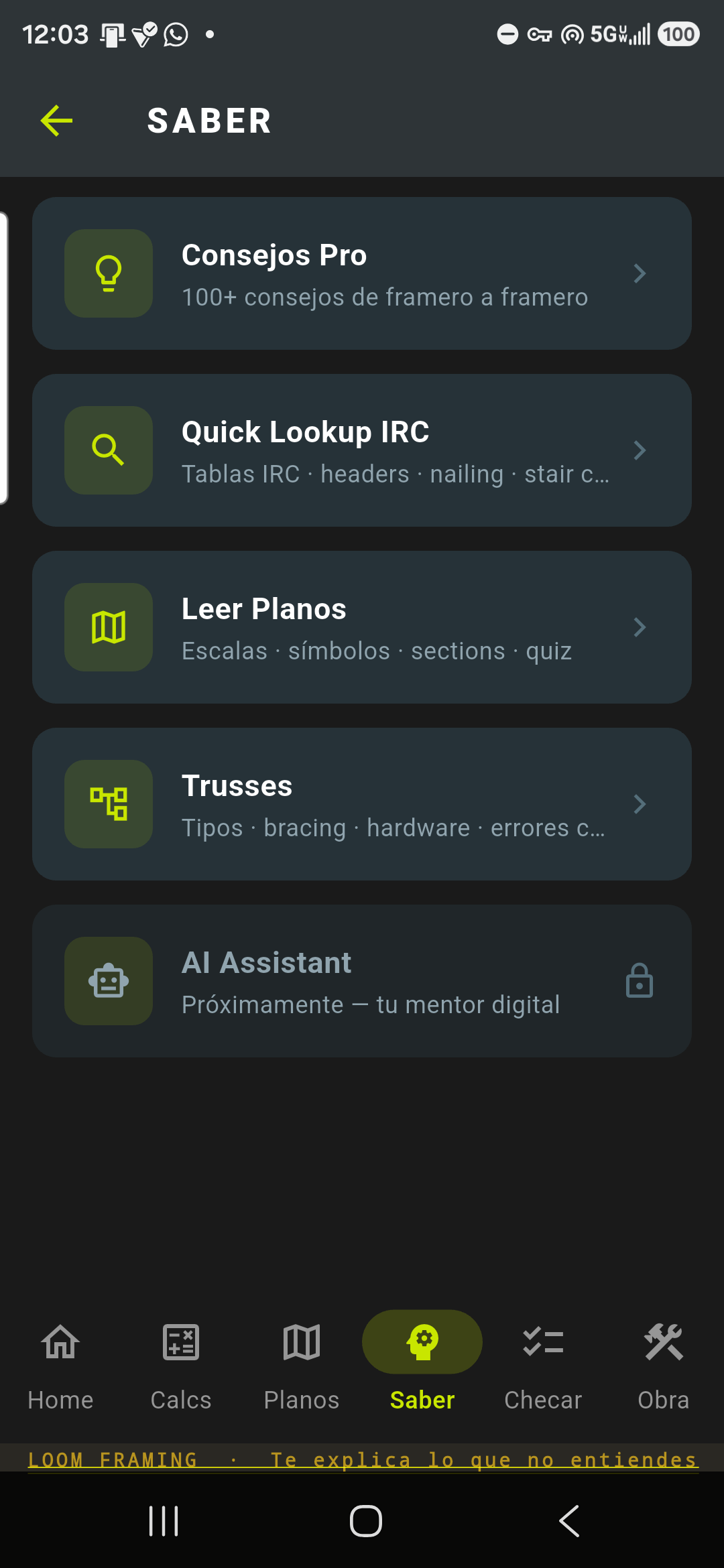 El Saber completo: Manual del Framer, Glosario, Consejos Pro, Quick Lookup IRC, Leer Planos y Trusses